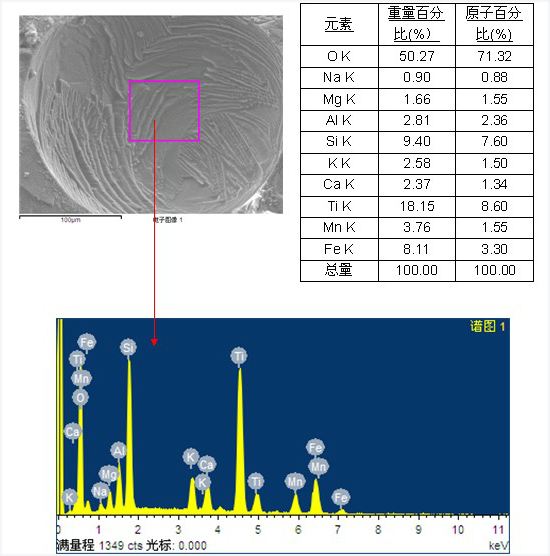 熔渣和焊缝中夹杂物的EDS1