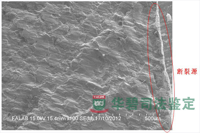 金属接骨板SEM图像断面解理断裂