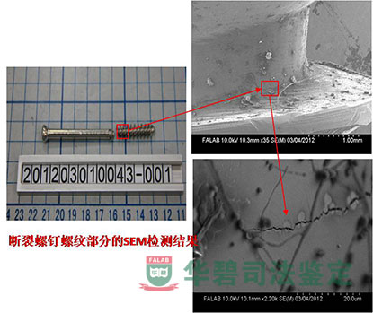 断裂螺钉螺纹部分的SEM检测结果