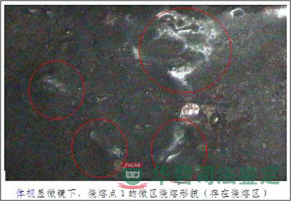 显微镜下电弧烧伤点图