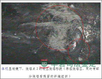 显微镜下电弧烧伤点图2