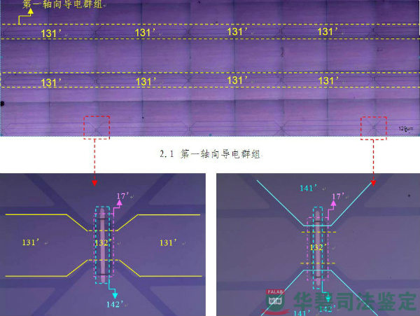 检材表面检验图