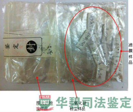 滤膜样品