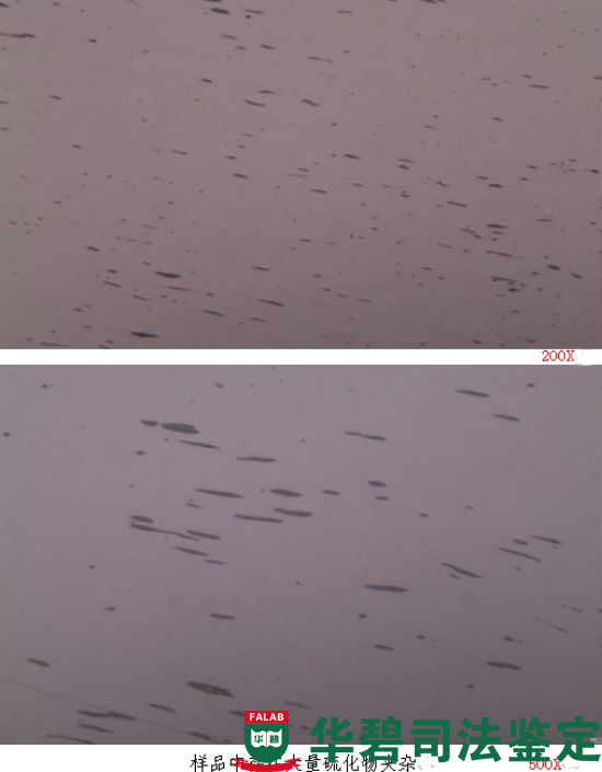 样品中大量硫化物夹杂