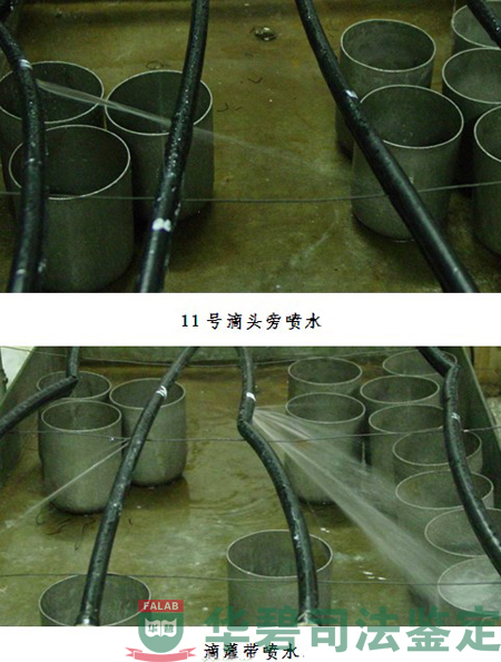 11号滴头旁喷水