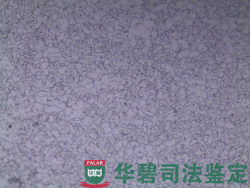 挂车主梁裂痕金相显微镜下观察