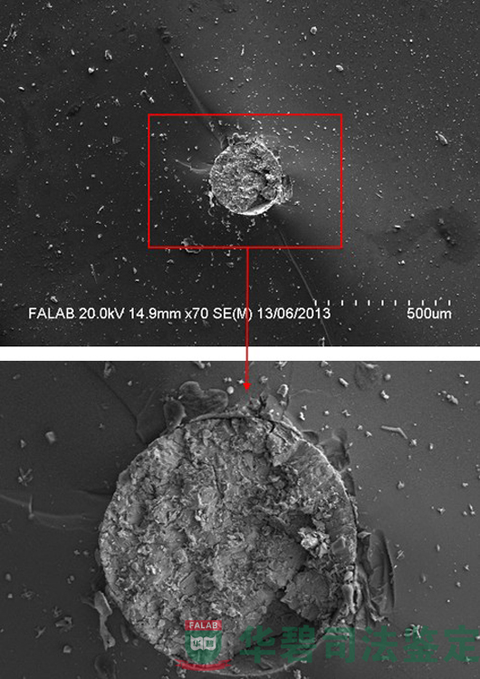 玻璃电子显微镜形貌观察