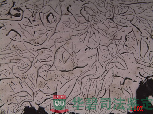 金相组织-1