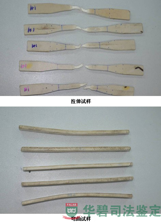 物理机械性能检测代表性照片
