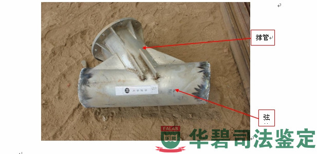 图2:所取检材代表性图片